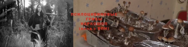 стаф Заволжск