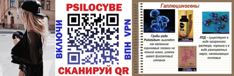 Купить закладки  Мураши  Галлюциногенные грибы мухоморы 