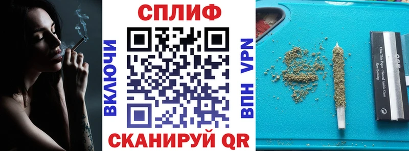 Купить  Мураши  Бошки Шишки White Widow 